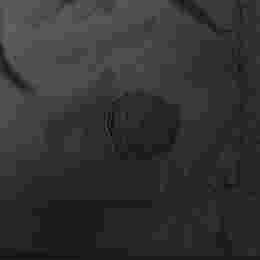 ◆당일◆25SS 로고 패치 스윔 숏 팬츠 블랙 K1 091 2C000 04 53326 999