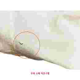 ◆스크래치◆백 로고 프린팅 오버핏 티셔츠 크림 TS624CR