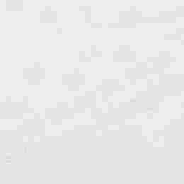 ◆당일◆로고 자수 백스티치 티셔츠 라이트그린릴리 S50GC0684 S22816 729