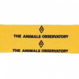 ◆키즈◆24FW 키즈 로고 삭스 옐로우 F24112 099GO