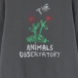 ◆키즈◆키즈 베어 플라워 맨투맨 다크그레이 F25031 066DX