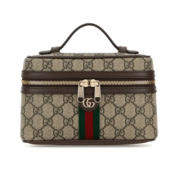 26SS GG 오피디아 스몰 배니티 핸드백 베이지/다크브라운 838491 FAE0P 9746