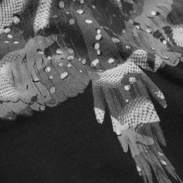 ◆15주년◆카모 윙 프린트 후드티 블랙 CMBB007S186300031008