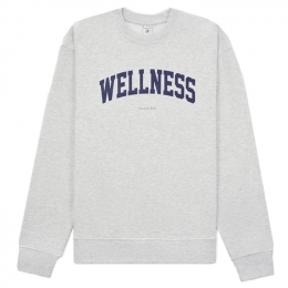 ◆당일◆22FW 웰니스 로고 프린팅 기모 맨투맨 그레이 CR652HG